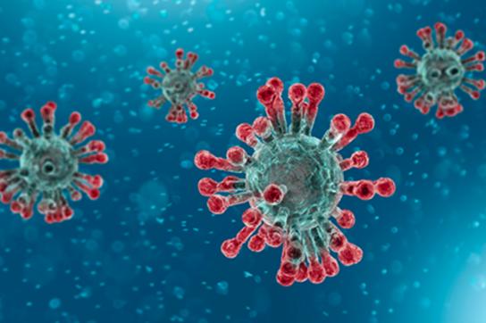 coronavirus-1_6