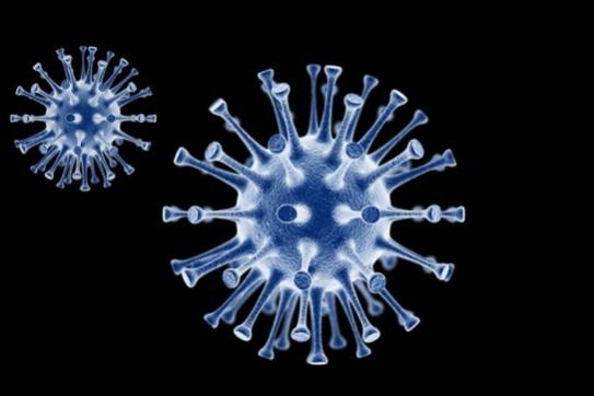 coronavirus_5