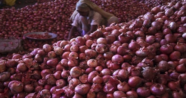 onion dinbodal